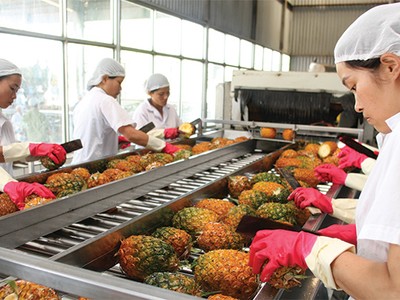 Theo ADB, hiện chỉ có 36% DN Việt Nam tham gia vào mạng lưới xuất khẩu