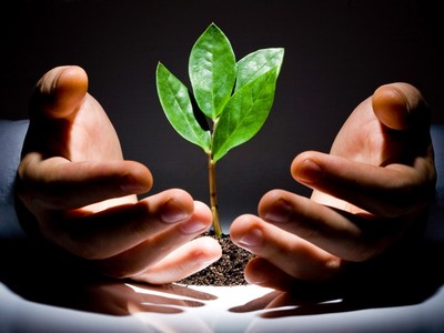 Vinacafe có 3 doanh nghiệp coi như đã ngừng hoạt động nên không thể xác định được giá khởi điểm để thoái vố