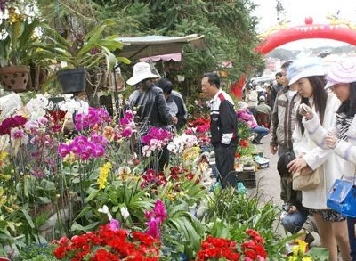 Chợ hoa đầu mối đầu tiên của TP. Đà Lạt sẽ có công suất tiêu thụ 200 triệu cành/năm (Ảnh minh họa)