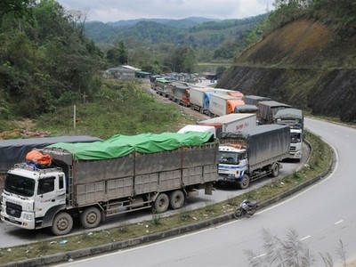 Đoàn xe chở dưa hấu nằm dài hàng km để chờ được xuất khẩu. Ảnh: Minh Phúc
