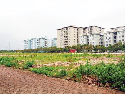 Khu đất này được quy hoạch cho các khối nhà 8 - 9 tầng trong dự án giãn dân phố cổ
