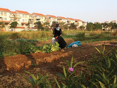 Khách hàng hiện nay thường quan tâm đến các dự án đã hoặc sắp hoàn thiện - Ảnh: Hoài Nam