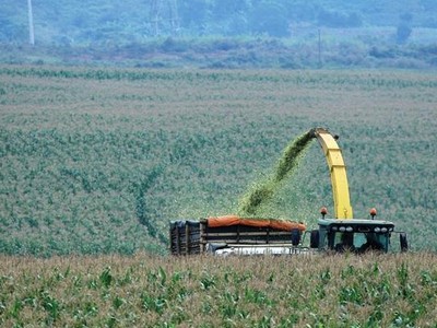 Việt Nam có tiềm năng rất lớn trong hợp tác phát triển nông nghiệp. Ảnh: Đức Thanh