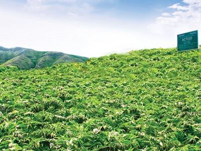 TRA - “Cất cánh” bằng hệ thống phân phối dược phẩm hiện đại