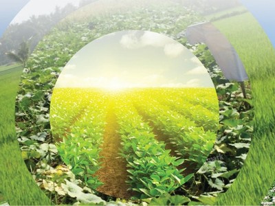 SSC và tham vọng phát triển trong 5 năm tới