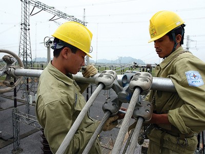 Tập đoàn Điện lực   Việt Nam dự kiến trong năm 2015 sẽ hoàn tất việc thoái vốn đầu tư ngoài ngành