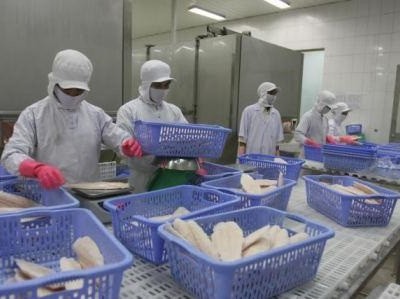 Hiện mới có 30 DN thủy sản Việt Nam đủ điều kiện xuất khẩu sang Nga