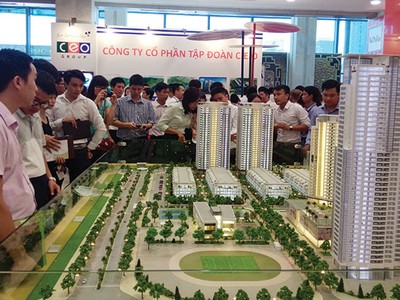 Rồi, lại bắt đầu tăng giá!