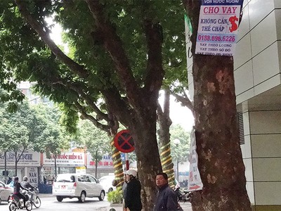 Xu hướng thành lập CTTC được đẩy mạnh trong những năm qua