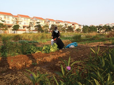 Hà Nội chuẩn bị đấu giá nhiều khu đất