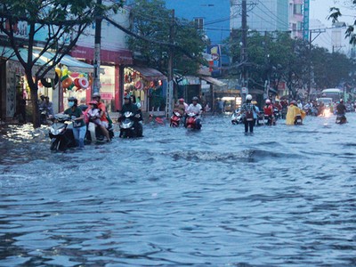 Những ngày không tươi đẹp…