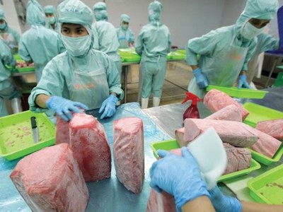 Tham gia các FTA, nhiều cơ hội đầu tư mở ra ở nhiều ngành nghề có lợi thế cạnh tranh của Việt Nam