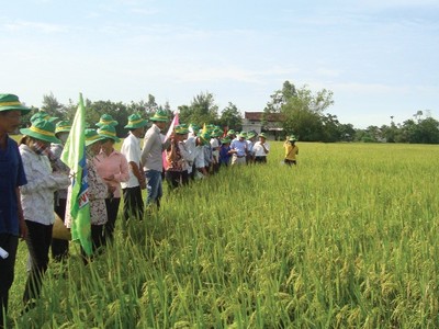 PVFCCo North hiện chiếm khoảng 30% thị phần phân đạm tại khu vực miền Bắc