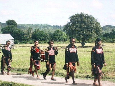 Khu vực Tây Nguyên thu hút FDI kém nhất trong cả nước (ảnh minh họa, nguồn Internet)