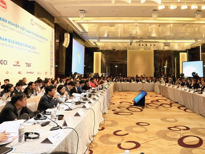 Ngày 27/12/2015, Bộ KH&ĐT sẽ hoàn chỉnh việc rà soát và hệ thống hóa điều kiện đầu tư với NĐT nước ngoài