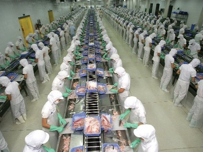 10 tháng đầu năm 2015, kim ngạch xuất khẩu cá tra vào Mỹ đạt khoảng 260 triệu USD, giảm 5%
