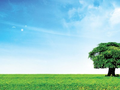 Sống “cân bằng” trong xã hội hiện đại