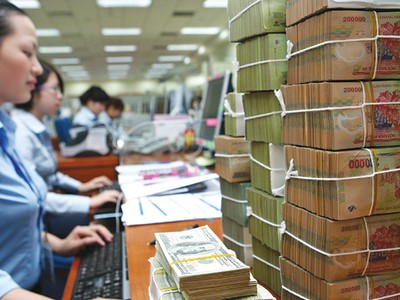 Sự hiện diện của Bảo hiểm tiền gửi Việt Nam đã thể hiện một cách cụ thể cam kết của Chính phủ Việt Nam trong việc bảo vệ người gửi tiền