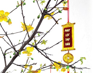 Sắc vàng xuống phố…