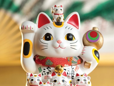 “Duyên” của mèo thần tài