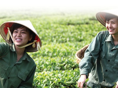 GTN hấp dẫn khối ngoại từ chiến lược mới