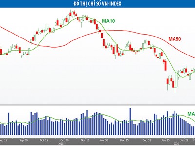 Dòng tiền đầu cơ bắt đầu hoạt động trở lại