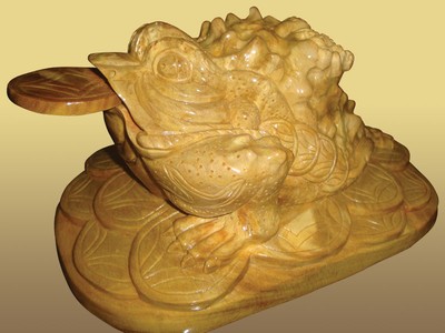 Bày cóc phong thủy, nhiều nhầm lẫn