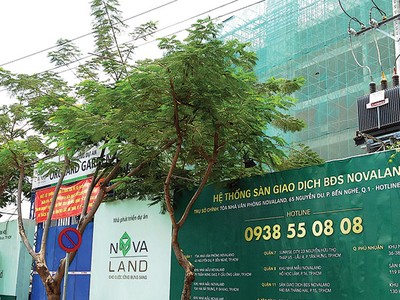 Chủ đầu tư bất động sản khổ vì ách tắc thủ tục đóng tiền sử dụng đất