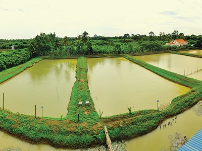 Tỷ lệ người nghèo cao, nhưng nợ xấu khu vực nông thôn lại thấp hơn non nửa so với nợ xấu toàn ngành kinh tế