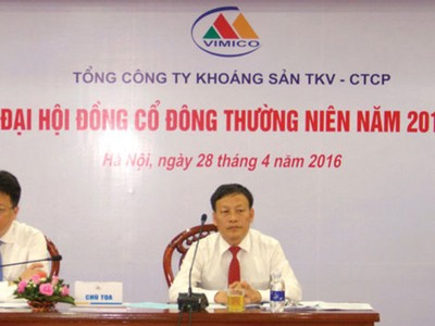 Vimico đặt kế hoạch 61,5 tỷ đồng lãi trước thuế hợp nhất