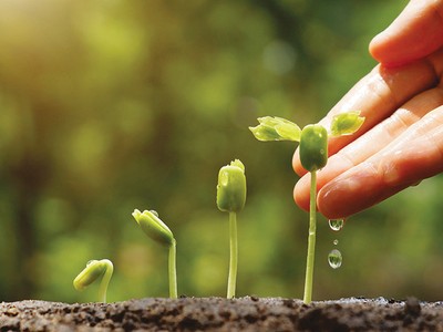 Có khoảng 400 triệu USD dành cho đầu tư khởi nghiệp mỗi năm, nhưng chỉ có 20 dự án được chọn, trong đó các dự án tại Việt Nam rất ít