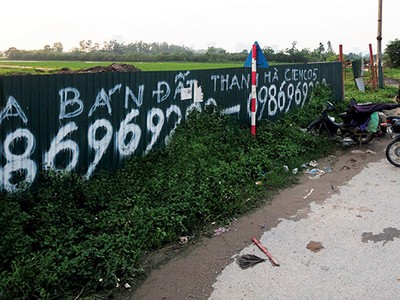 Dù đang có những lùm xùm, nhưng sản phẩm Dự án Thanh Hà - Cienco 5 Land vẫn được đẩy giá lên từng ngày với tiền chênh lên tới 500 triệu đồng/lô. Ảnh: Dũng Minh