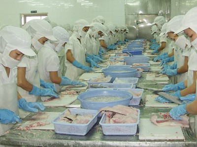 Quý II/2016, lợi nhuận VHC ước đạt 140 - 150 tỷ đồng