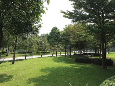 Ngoài hỗ trợ lãi suất 0%, tiện ích và không gian xanh cũng là các yếu tố tạo ra lợi thế cạnh tranh cho các dự án. Ảnh: Đức Thanh