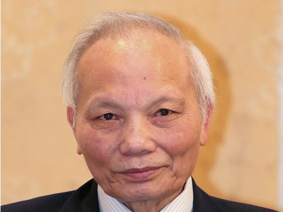 GS-TSKH. Nguyễn Mại, Chủ tịch Hiệp hội Doanh nghiệp đầu tư nước ngoài 