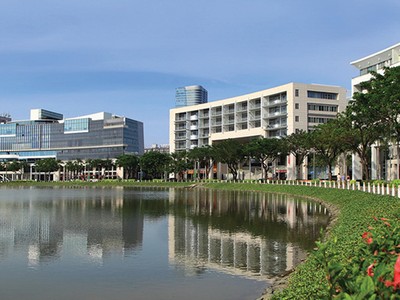 Sống xanh đang là xu hướng được ưa chuộng. Ảnh: Lê Toàn