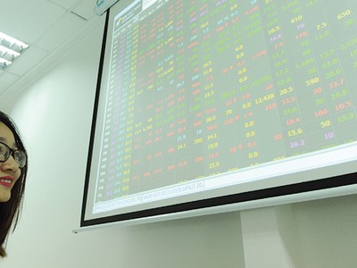 6 tháng đầu năm, hiệu quả đầu tư của các quỹ nội khởi sắc cùng đà tăng của chỉ số chứng khoán 