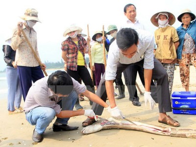Sự cố môi trường gây thiệt hại nặng nề cho người dân 4 tỉnh miền Trung.