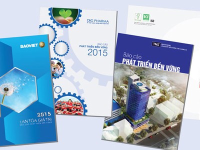 Chất lượng báo cáo phát triển bền vững của một số doanh nghiệp đã có sự tiến bộ vượt trội so với năm trước  