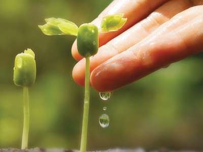 Thực hiện phát triển bền vững: Cam kết của lãnh đạo là một nửa thành công!