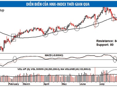 Tháng 8, VN-Index khó có thể rơi tự do