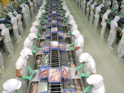 VHC: Xuất khẩu tháng 7 giảm tốc vì thủ tục kiểm nghiệm