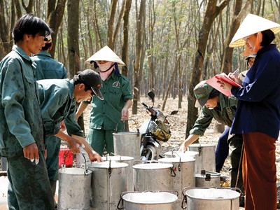 Doanh nghiệp sản xuất lạc quan với lợi nhuận quý III