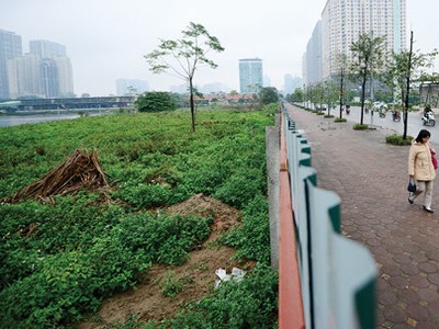 Dự án đất vàng của Nam Cường bị bỏ hoang thành “khu đô thị cỏ“