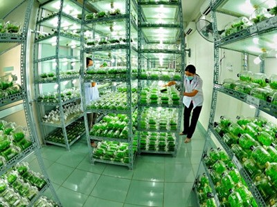 Trung ương đặc biệt nhấn mạnh việc ưu tiên bố trí nguồn lực để bổ sung, hoàn thiện và thực hiện tốt hơn Đề án Cơ cấu lại nông nghiệp theo hướng đẩy mạnh phát triển nông nghiệp công nghệ cao (ảnh minh họa - vov5)