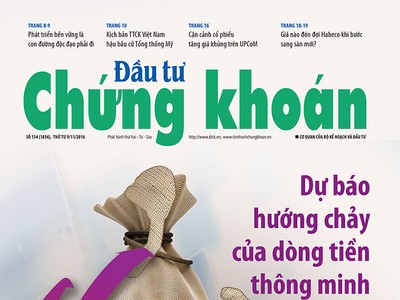 Đầu tư Chứng khoán số 135