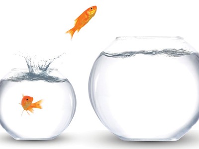 Đồ Họa: Ngọc Tuấn