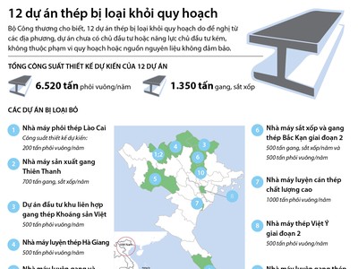 [infoGraphic] 12 dự án thép bị loại khỏi quy hoạch 