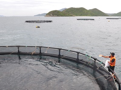 Đầu tư nông nghiệp: Còn nhiều dư địa