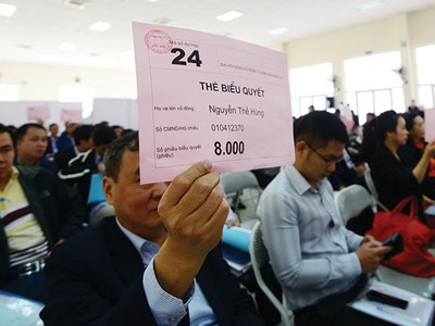 Một trong những nguyên tắc trong quản trị công ty là đảm bảo quyền lợi của cổ đông và các chức năng sở hữu cơ bản 